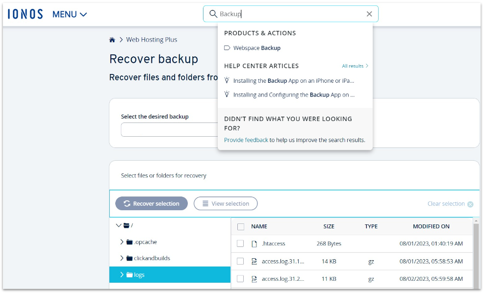 IONOS Webspace Backup menu.